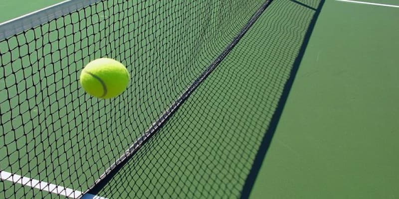 Kinh nghiệm thực chiến khi cá cược quần vợt